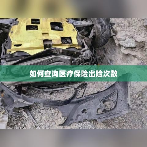 医疗保险出险次数查询攻略-图1 医疗保险出险次数查询攻略-图1