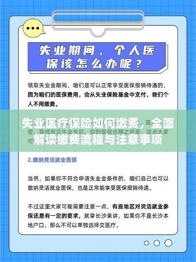 全面解读失业医疗保险缴费流程与注意事项-图1 全面解读失业医疗保险缴费流程与注意事项-图1