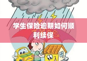 学生保险逾期续保攻略，顺利过渡无忧保障-图1