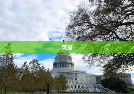 纳指六连涨,英伟达、特斯拉等巨头涨势强劲,中概股与金价走势分化-图1 纳指六连涨,英伟达、特斯拉等巨头涨势强劲,中概股与金价走势分化-图1