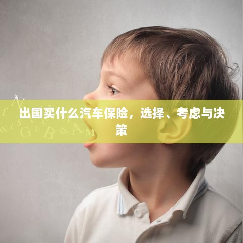 出国购车保险指南,选择、考虑与决策要素-图1 出国购车保险指南,选择、考虑与决策要素-图1