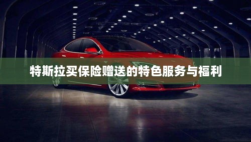 特斯拉保险特惠,独家特色服务与丰厚赠品等你来享-图1 特斯拉保险特惠,独家特色服务与丰厚赠品等你来享-图1