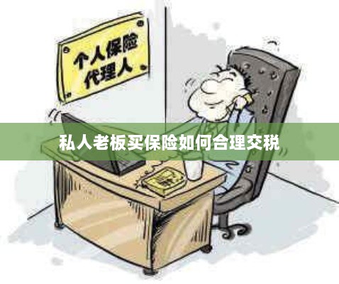 私人老板如何合理购买保险并交税指南-图1 私人老板如何合理购买保险并交税指南-图1