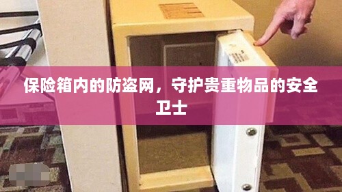 保险箱内防盗网,守护贵重物品的安全屏障-图1 保险箱内防盗网,守护贵重物品的安全屏障-图1