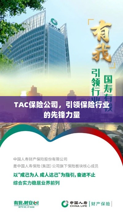 TAC保险公司，引领保险行业的先锋典范-图1