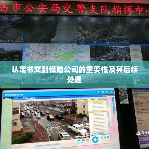 认定书交到保险公司的重要性及后续处理流程详解-图1