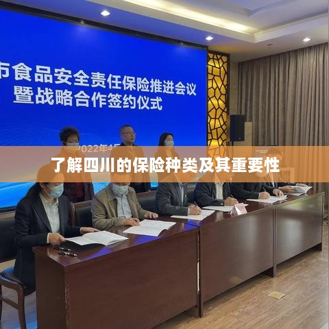 四川保险种类概览及其重要性探究-图1 四川保险种类概览及其重要性探究-图1