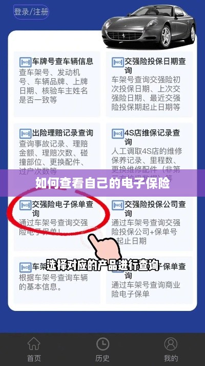 如何查看个人电子保险保单详情-图1