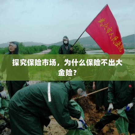 探究保险市场,为何缺乏大额保险金险种?-图1 探究保险市场,为何缺乏大额保险金险种?-图1