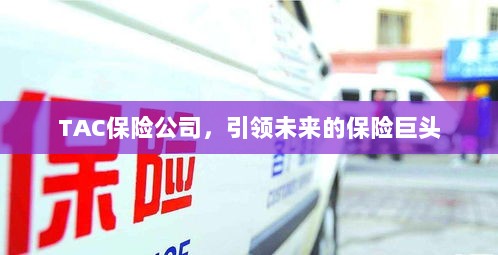 TAC保险公司,引领保险行业未来巨头之路-图1 TAC保险公司,引领保险行业未来巨头之路-图1