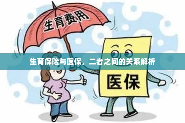 生育保险与医保的关系深度解析-图1