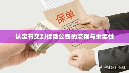认定书交到保险公司的流程及其重要性概述-图1