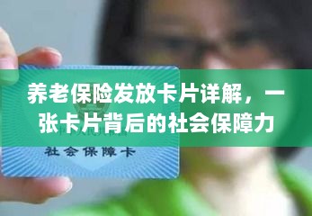 养老保险发放卡片全面解析，社会保障力量的见证-图1