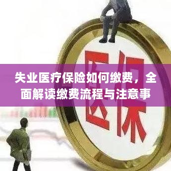 全面解读失业医疗保险缴费流程与注意事项-图1 全面解读失业医疗保险缴费流程与注意事项-图1