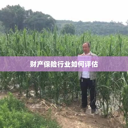 财产保险行业评估方法与策略解析-图1 财产保险行业评估方法与策略解析-图1