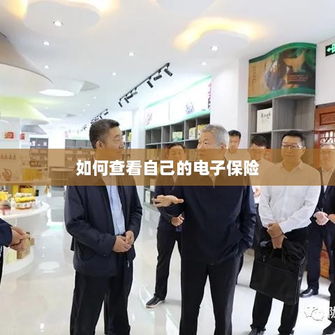 如何查看个人电子保险保单详情-图1 如何查看个人电子保险保单详情-图1