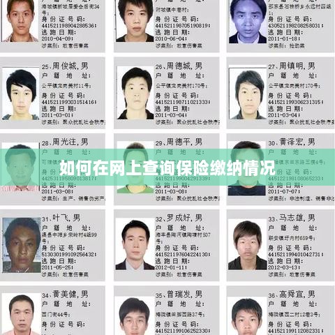 网上查询保险缴纳情况攻略-图1