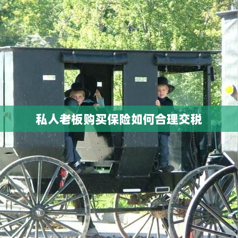 私人老板购买保险的合理税务规划之道-图1 私人老板购买保险的合理税务规划之道-图1
