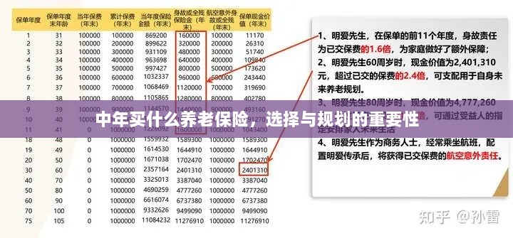 中年养老保险的选择与规划,关键性与策略探讨-图1 中年养老保险的选择与规划,关键性与策略探讨-图1