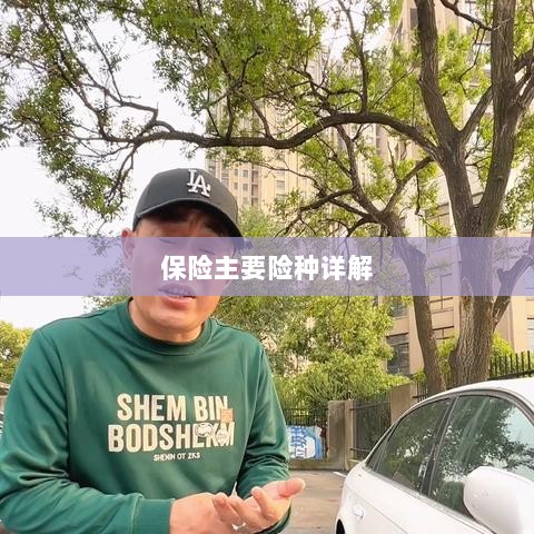 保险主要险种详解概览-图1