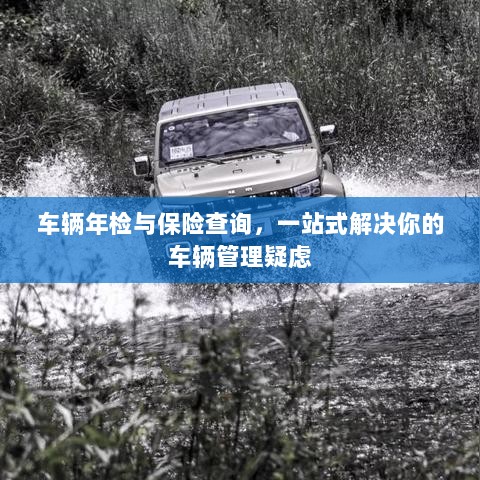 车辆年检与保险查询，一站式解决车辆管理所有疑虑-图1