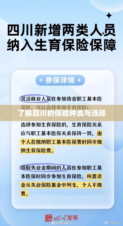 四川保险种类详解及选择指南-图1 四川保险种类详解及选择指南-图1