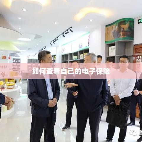 如何查看个人电子保险保单详情-图1 如何查看个人电子保险保单详情-图1