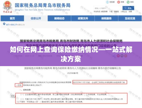 网上查询保险缴纳情况，一站式解决方案指南-图1