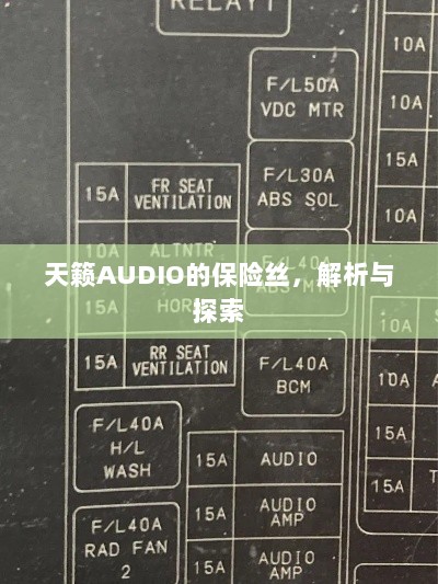 天籁AUDIO保险丝解析与探索-图1