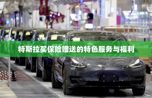 特斯拉保险特惠,独家特色服务与丰厚赠品等你来享-图1 特斯拉保险特惠,独家特色服务与丰厚赠品等你来享-图1