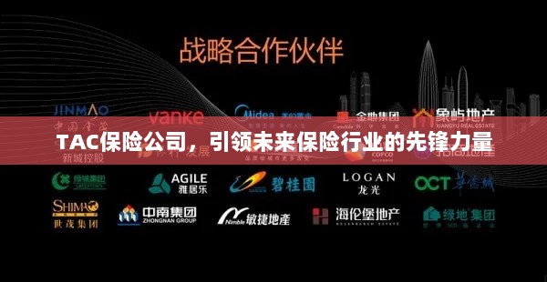 TAC保险公司,领航未来保险行业,成为先锋典范-图1 TAC保险公司,领航未来保险行业,成为先锋典范-图1