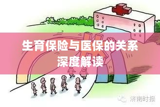 生育保险与医保关系的深度解析与解读-图1