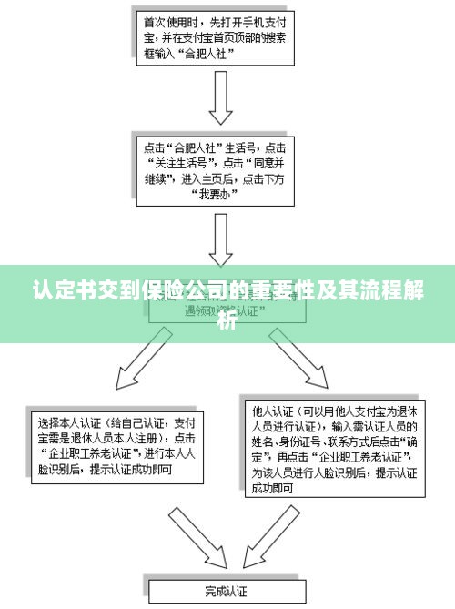 认定书交到保险公司的流程解析与重要性探讨-图1