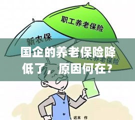 国企养老保险降低的原因探究-图1 国企养老保险降低的原因探究-图1
