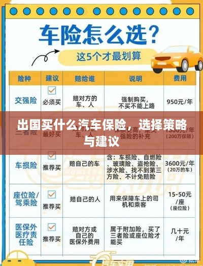 出国购车保险指南,选择策略与建议-图1 出国购车保险指南,选择策略与建议-图1