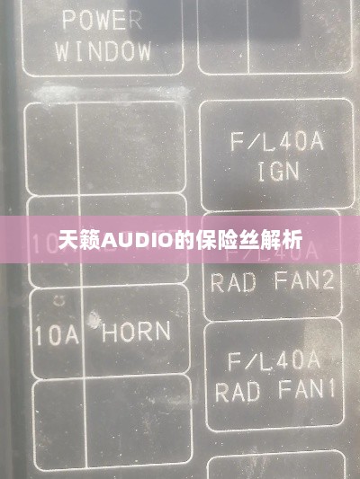 天籁AUDIO保险丝详解-图1
