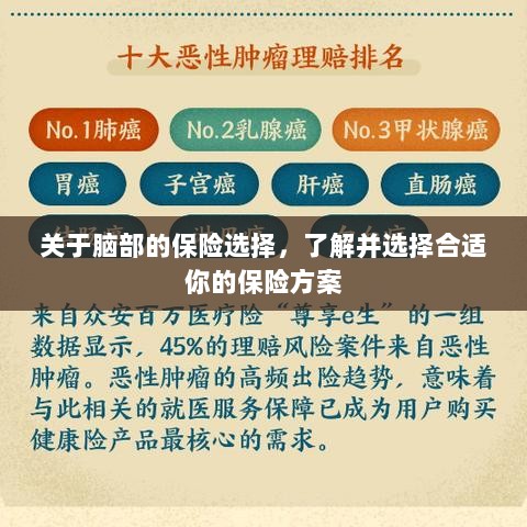 如何选择脑部保险方案,了解并挑选适合你的保障计划-图1 如何选择脑部保险方案,了解并挑选适合你的保障计划-图1