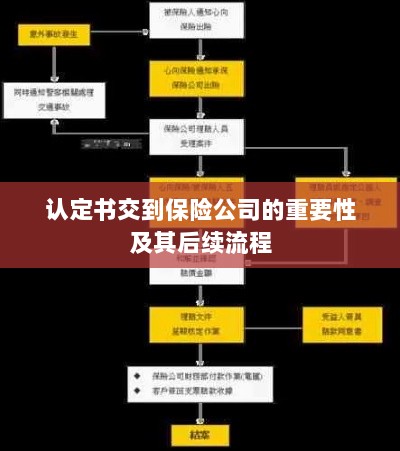 认定书对保险公司的重要性及后续流程详解-图1