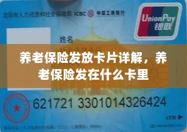 养老保险发放卡片详解，卡片类型与发放流程-图1