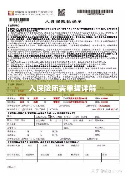 入保险必备单据解析-图1