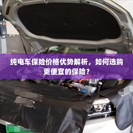 纯电车保险价格优势解析,省钱选购指南-图1 纯电车保险价格优势解析,省钱选购指南-图1