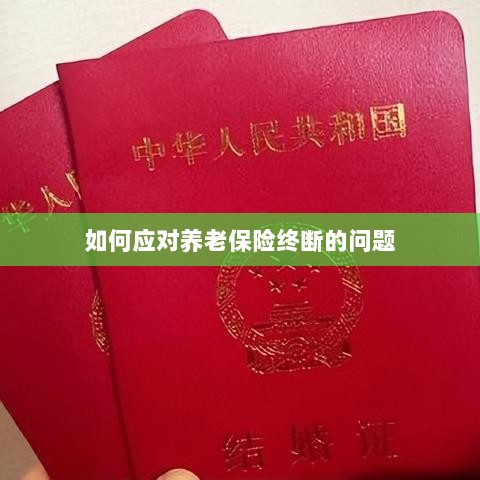 如何应对养老保险中断问题挑战-图1 如何应对养老保险中断问题挑战-图1