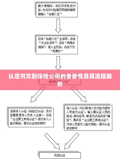 认定书交到保险公司的流程解析与重要性探讨-图1