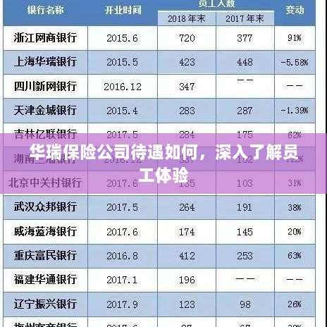 华瑞保险公司员工待遇与体验深度解析-图1