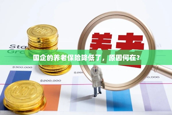 国企养老保险降低的原因探究-图1 国企养老保险降低的原因探究-图1