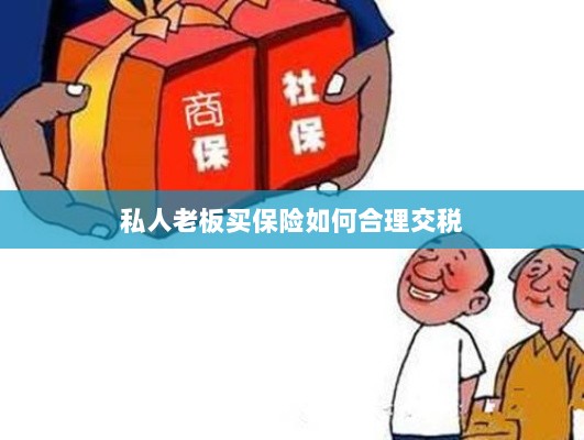 私人老板如何合理购买保险并交税指南-图1