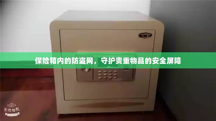 保险箱内防盗网，守护贵重物品的安全卫士-图1