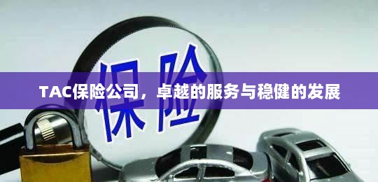 TAC保险公司，优质服务与稳健发展之路-图1