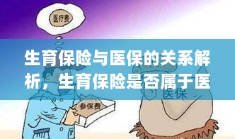 生育保险与医保关系解析，生育保险是否纳入医保范畴探讨-图1