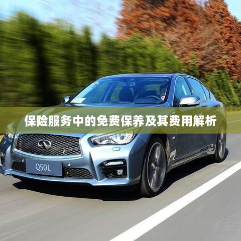 保险服务中的免费保养费用解析与指南-图1